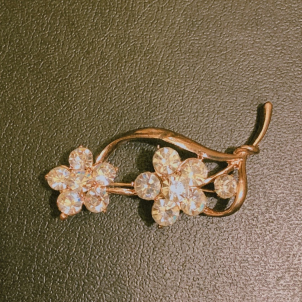 Brooche Pin